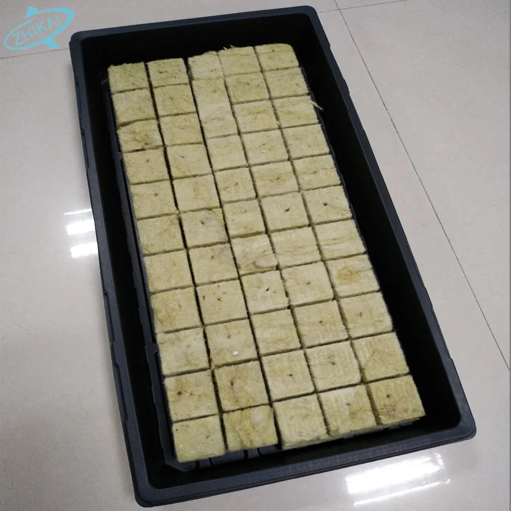China wholesale Cheap flat plastic seed tray for nursery