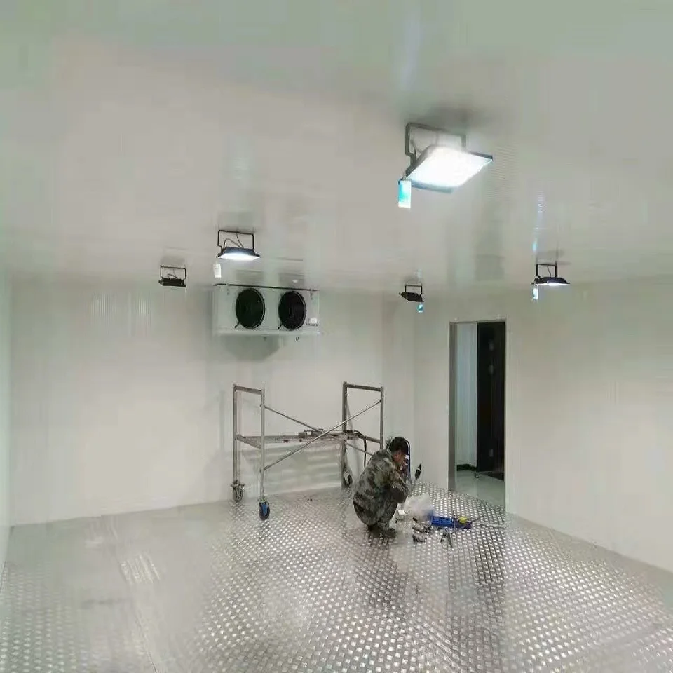 cold room with condengsing unit for grape /vegetable/Mango/lemon/fruit