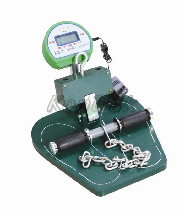 
Back-leg-chest Dynamometer medical apparatus and instruments 