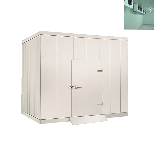 Green&health Cold Storage Room Freezing Room Refrigeration Equipment for Fruit / Vegetable / Fish Refrigerators & Freezers