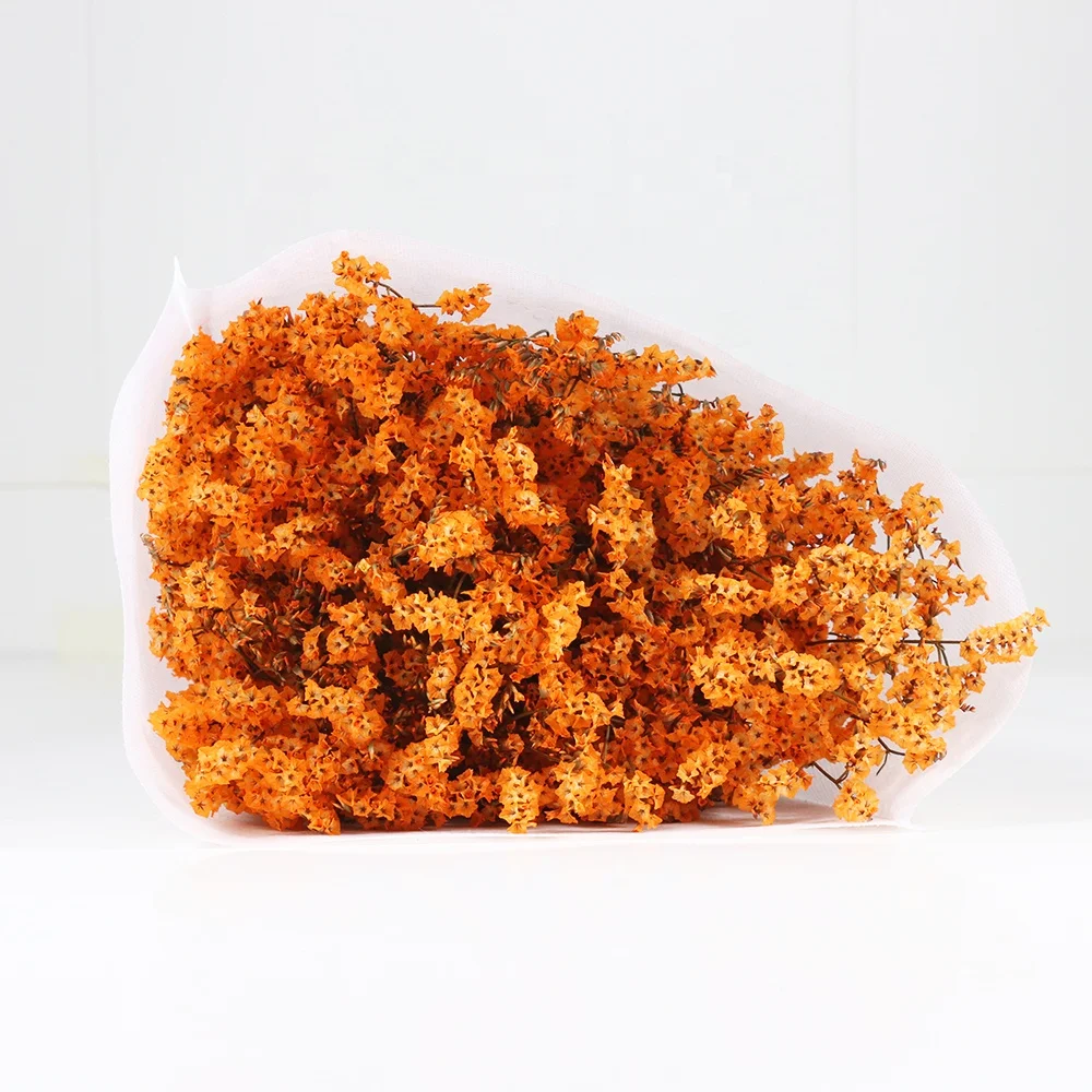 Лидер продаж, сохраненный цветок ЛИМОНИЯ Caspea высокого качества для украшения дома или хобби