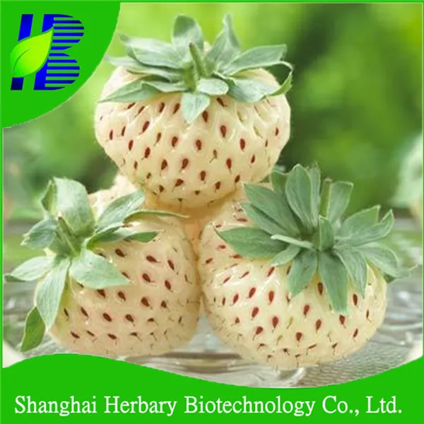 
2021 High Quality And Good Taste White Strawberry Seeds 