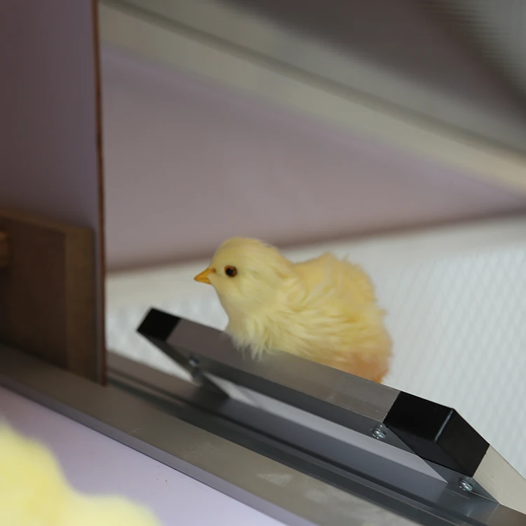 Chinese Manufacturer Commercial Egg Chicken Coop Design for Layers