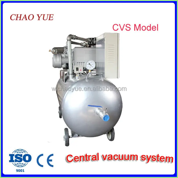 
Duplex vacuum pump system 