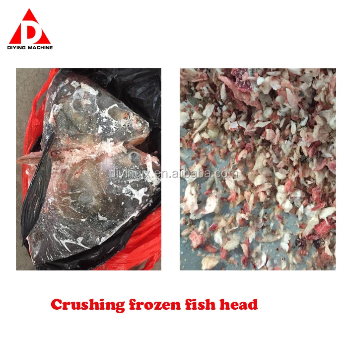 frozen fish head
