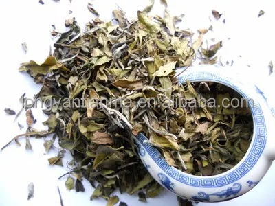 
White Tea Shou Mei least-processed tea fujian White Tea 