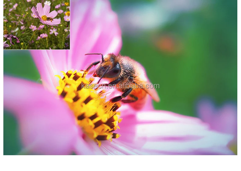 Macro lens for mobile phones