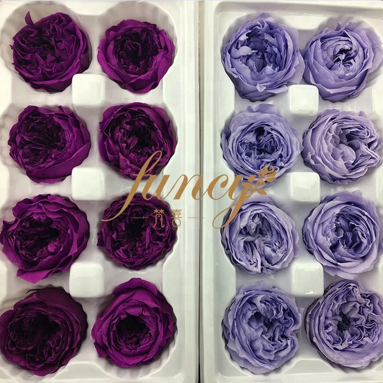 Wholesale Preserved Flower Real Natural Preserved Austin Roses for Wedding Flower Wall