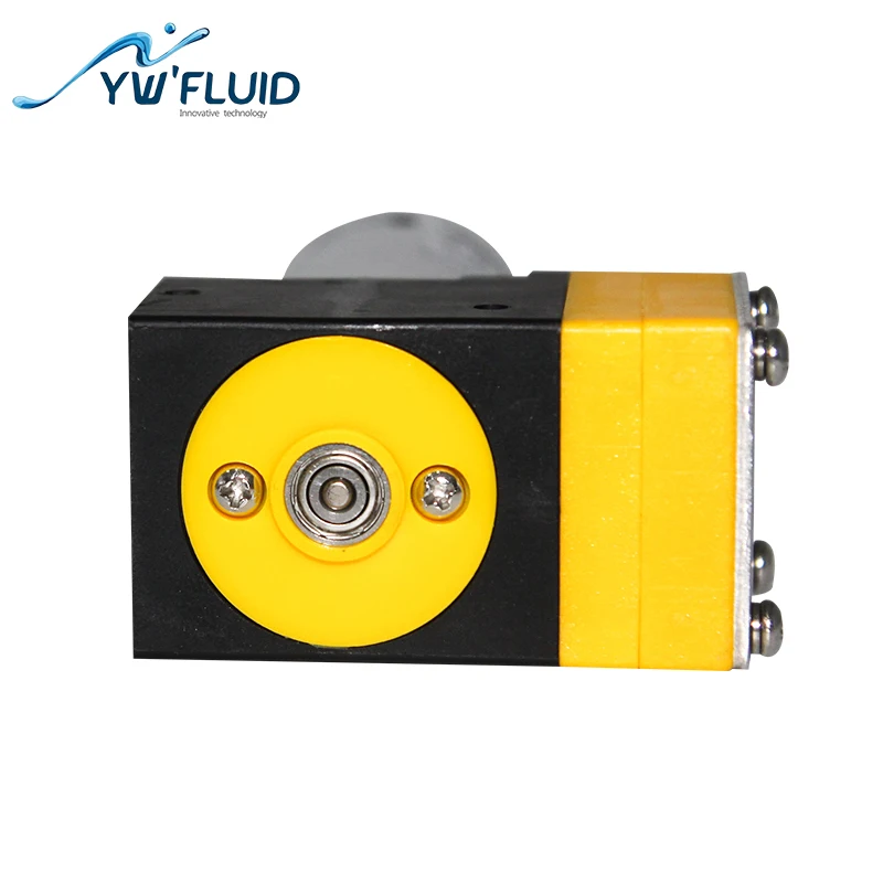 High quality electric double  mini sprayer 12v diaphragm pump micro air operated vacuum  diaphragm water pump