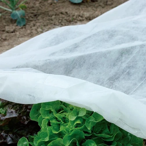 1 3% UV Resistant Spunbond Nonwoven Fabric For Agriculture Plant Nursery Weed Matts (62188291530)