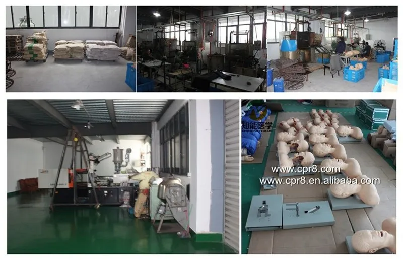 BIX-A1054 PVC human liver anatomical model