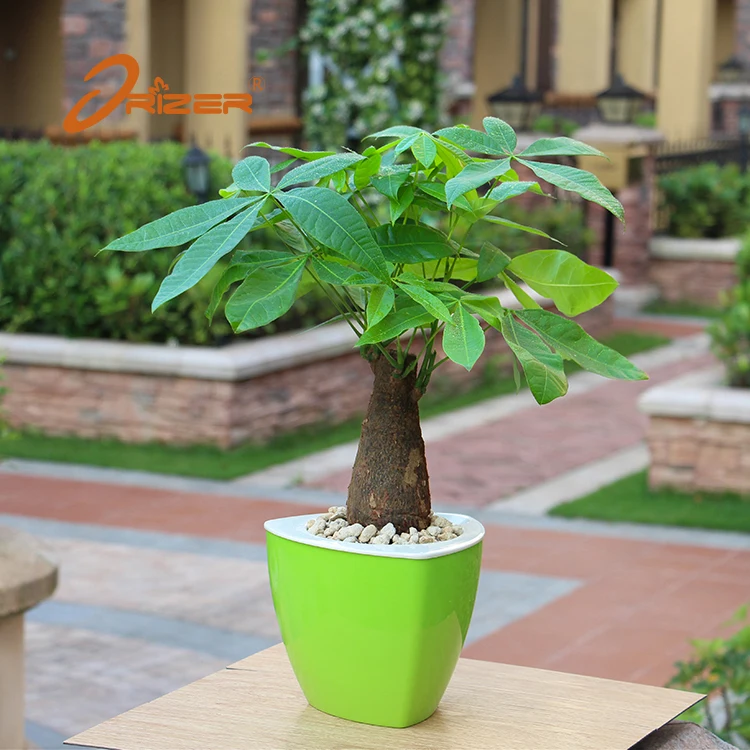 Hot sale self watering lazy succulent plants plastic flowerpot