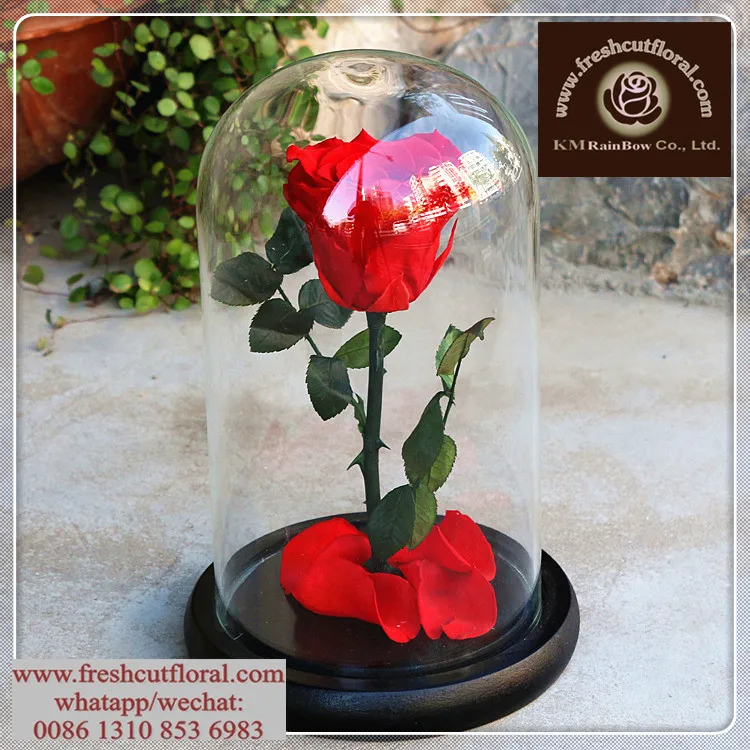 Run-After Undying Preserved- Rose Flowers Sent Out Four Seasons