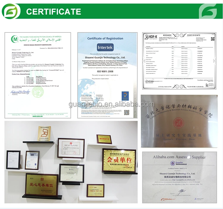 
High Quality Organic Best Selling Artemisinin 99% Artemisinin Powder 