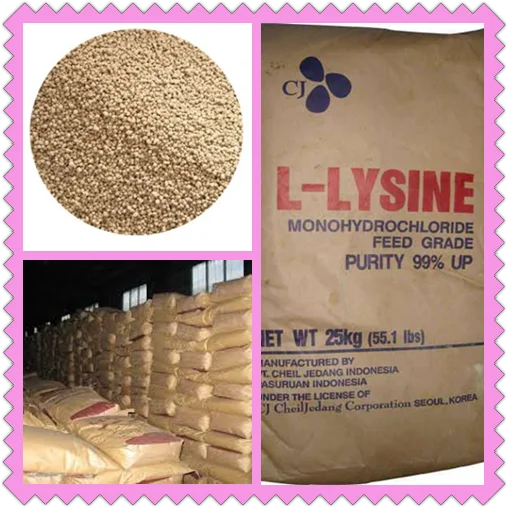 
pure L-Lysine 99% feed grade 