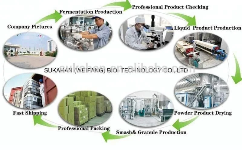 Liquid Acid Cellulase Enzyme for Textile Washing