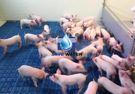 Plastic slat pig floor covering grating for pig goat cattle sheep farming equipment 600*500mm,600*600mm,600*40mm