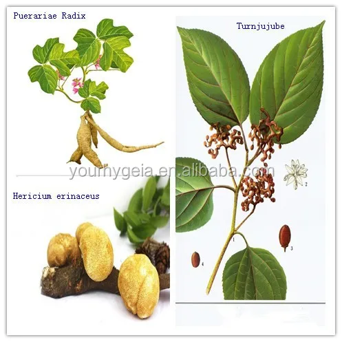 
Health care preventing hangover and fast sobering up pill 