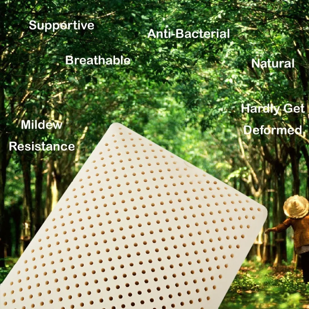 China Supplier Fabric Ventilated Natural Foam Latex Pillow for Adults Baby