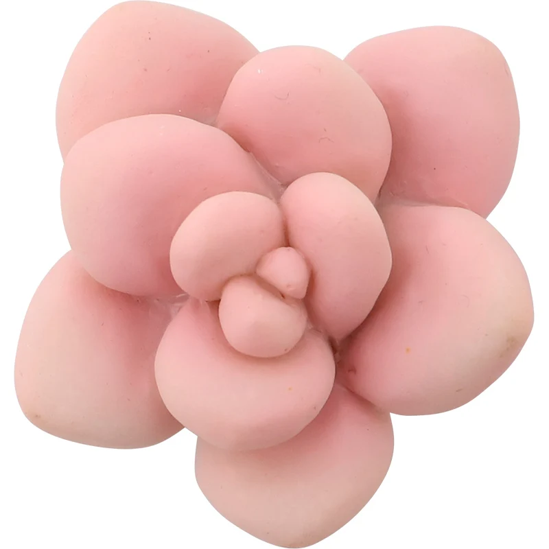 Roogo Resin Succulents Plant Flowers Fridge Magnet 3D Sticker