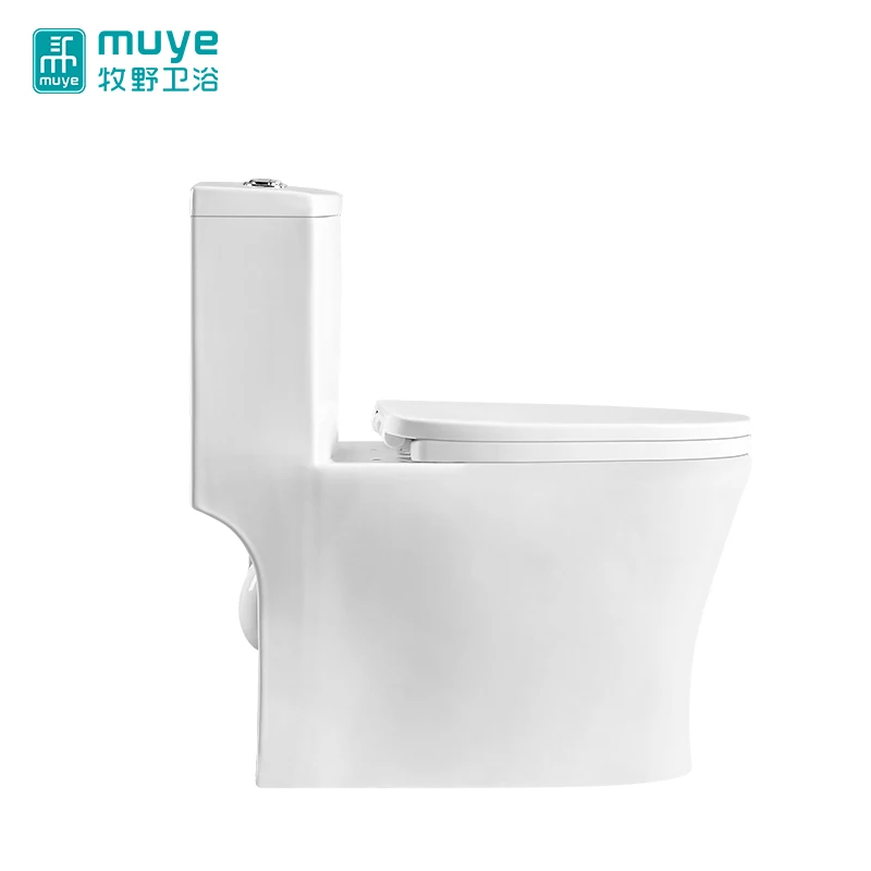 Water saving modern bathroom sanitary ware low price floor install ceramic siphon toilet