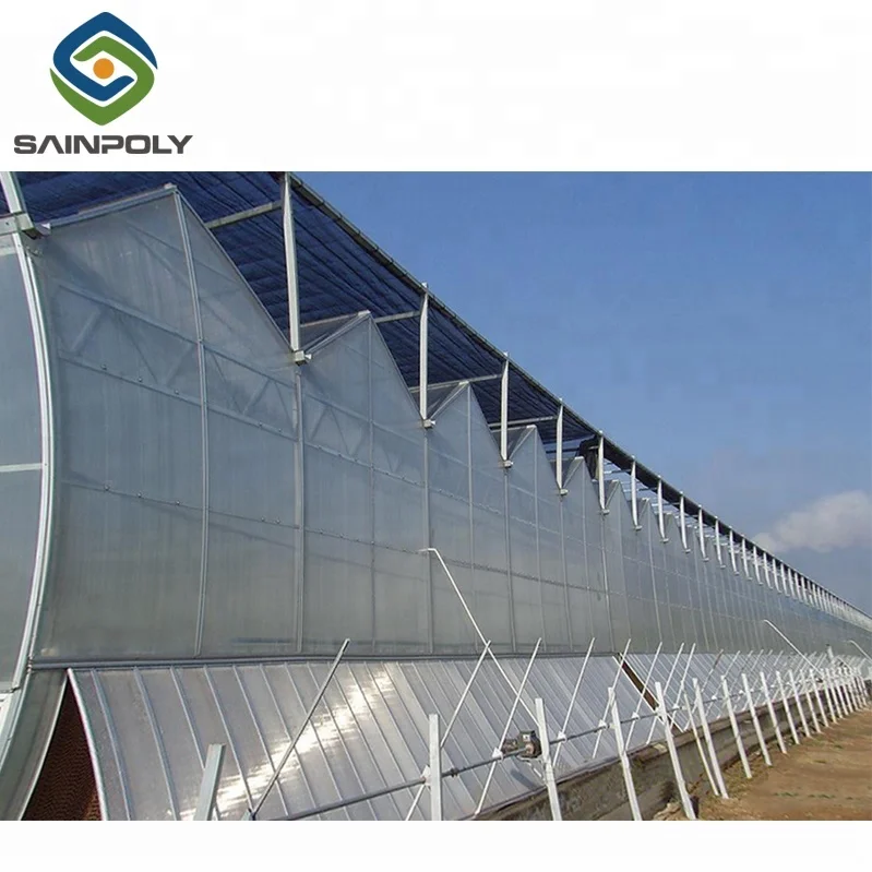 low cost agriculture glass greenhouse tent for sale