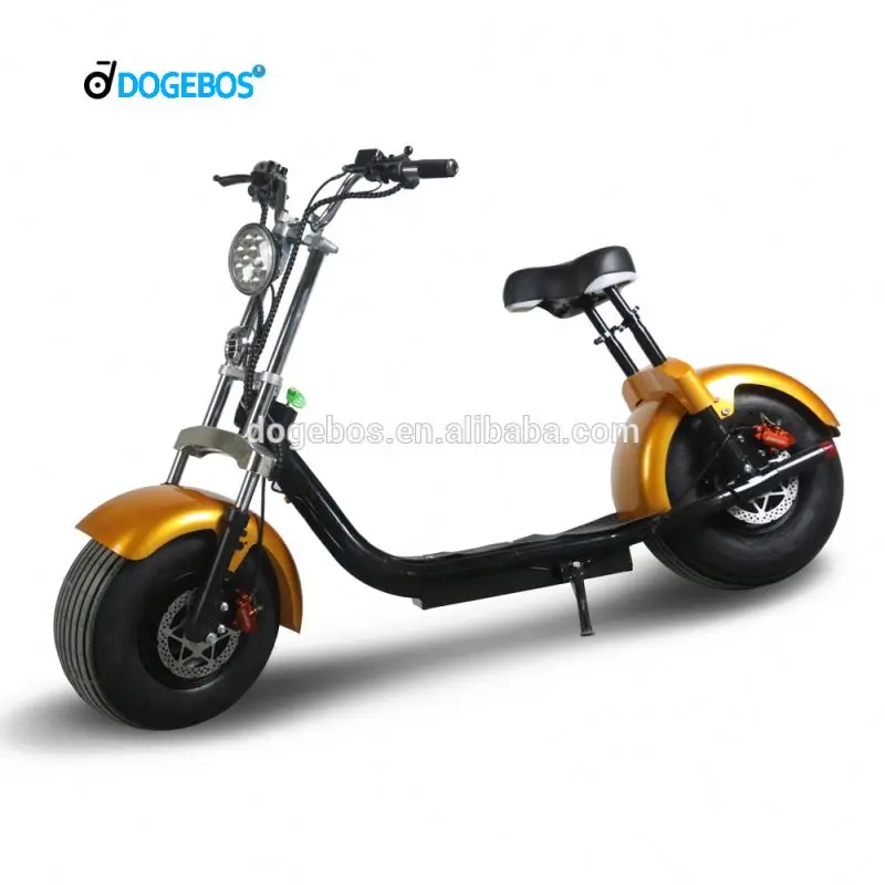 SC10 1000W 12Ah Fat Tire Electric Off Road Motorcycle Electric Scooter For Adult