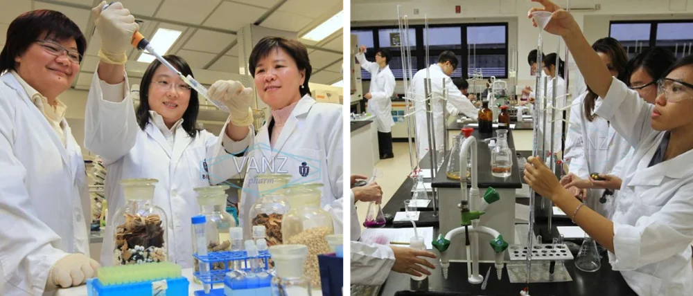 
bulk stock Noopept Hot sale CAS 157115-85-0 GVS-111 White crystalline powder 