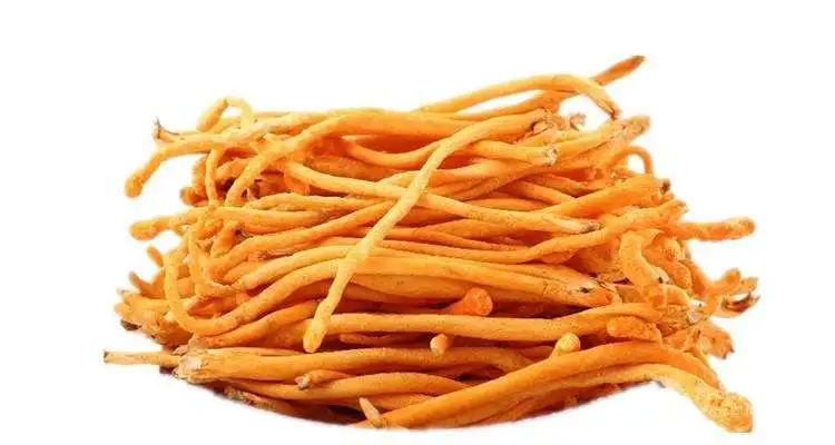 
30% Polysaccharides cordyceps militaris extract/cordyceps militaris powder/cordyceps militaris capsules 