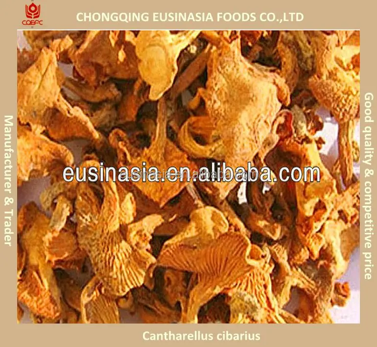 
Wild dried mushroom chanterelle with wholesale prices 