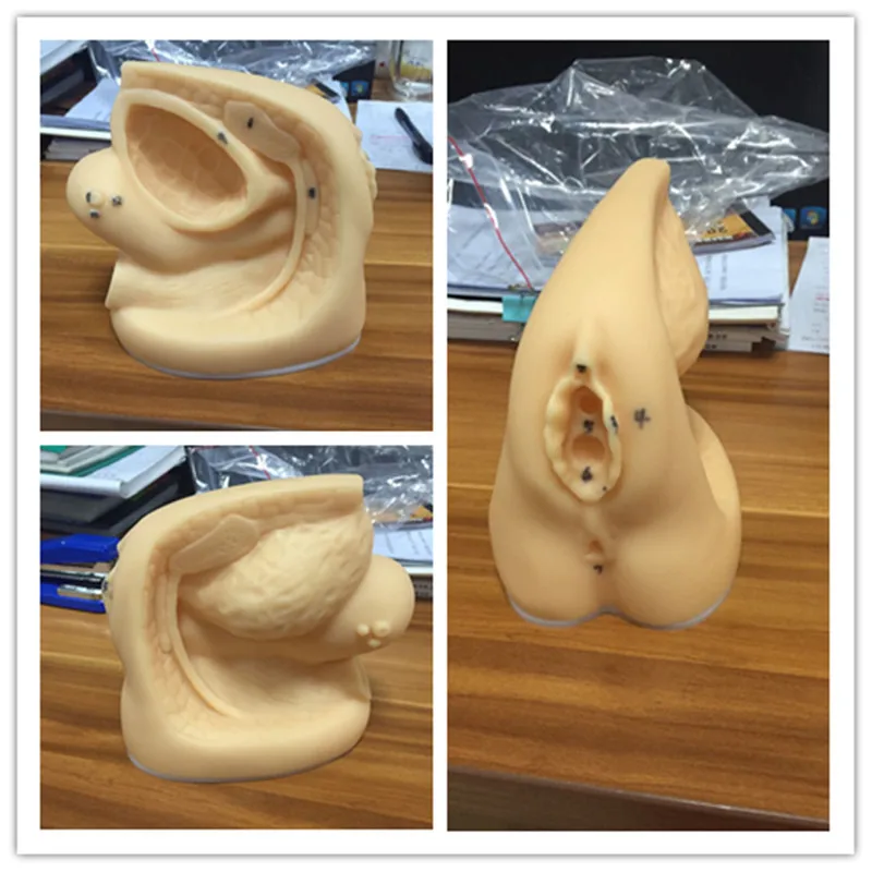 ADA-H6D medical science human simulation female genitalia and urethral catheterization 3D training models