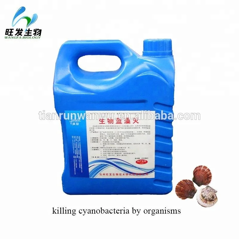 promotional aquaculture probiotics products for water purification