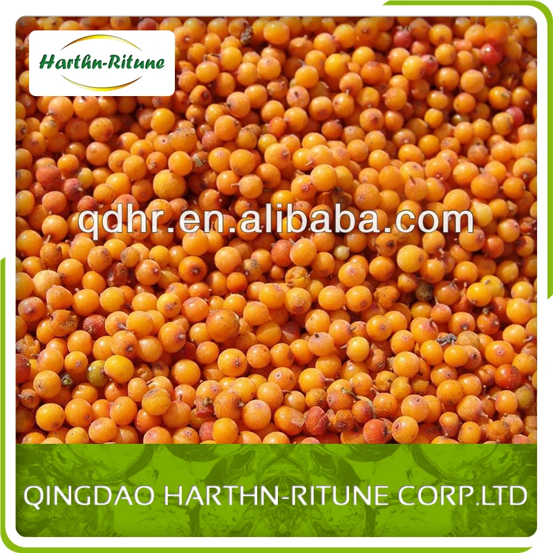 IQF Sea Buckthorn Fresh Frozen