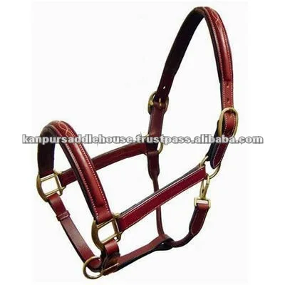 Модный головной убор лошади