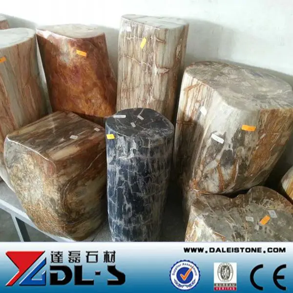 Petrified fossilzed wood stone high value luxury natural stone for collection