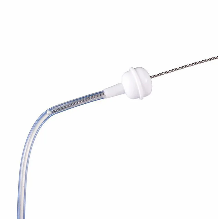 Chinese Factory Price Stainless Steel 5cm Head Different Length Straw Cleaning Brush
