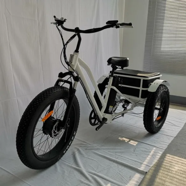 adult electric cargo tricycle/three wheel bicycle for adult(RSD-706)