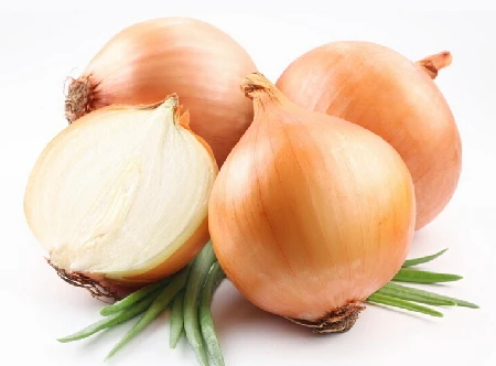 Yellow onion seeds four season vegetable seeds SXO No.5