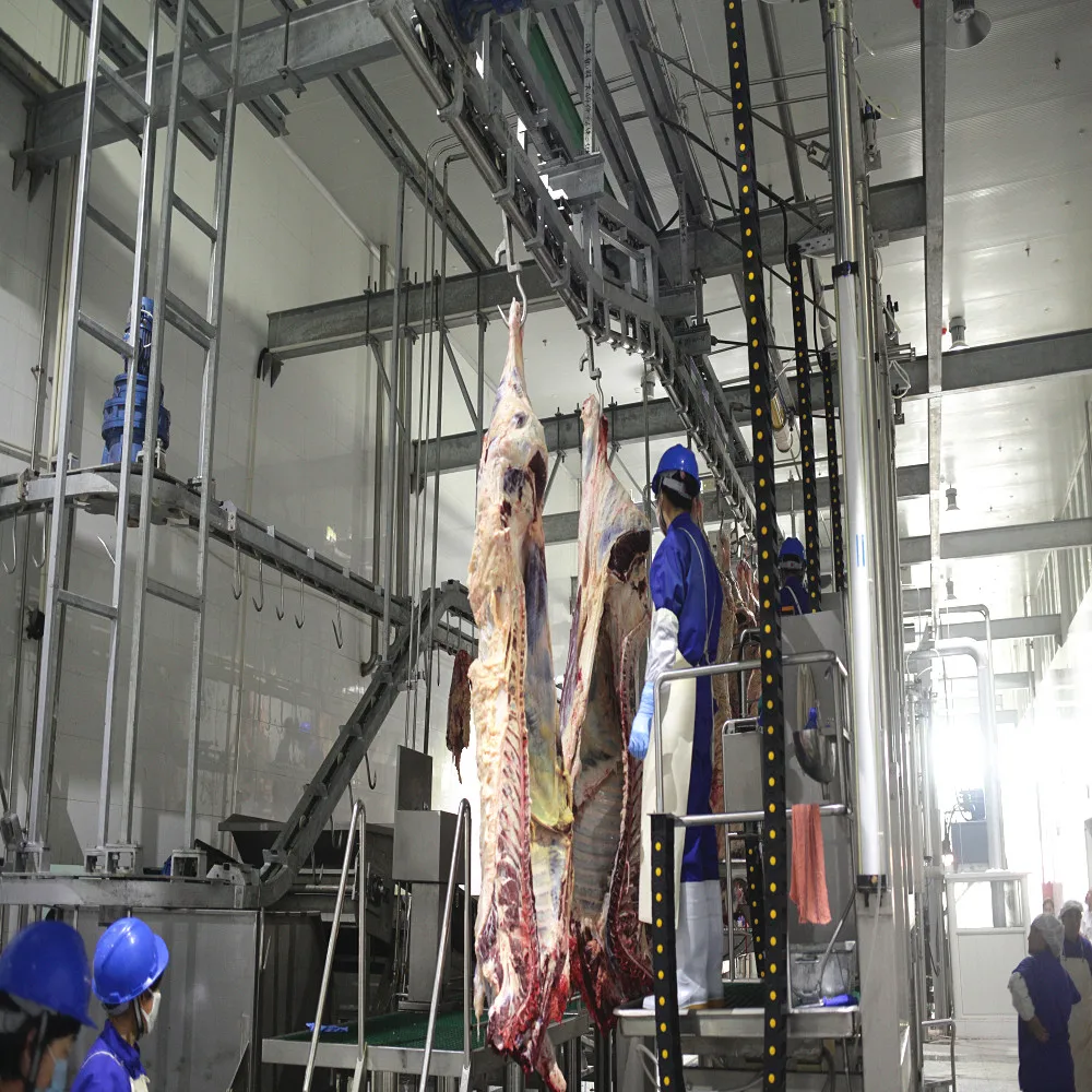 Complete Slaughterhouse Machine Halal Cattle Slaughter Line Equipment for Butcher Workshop