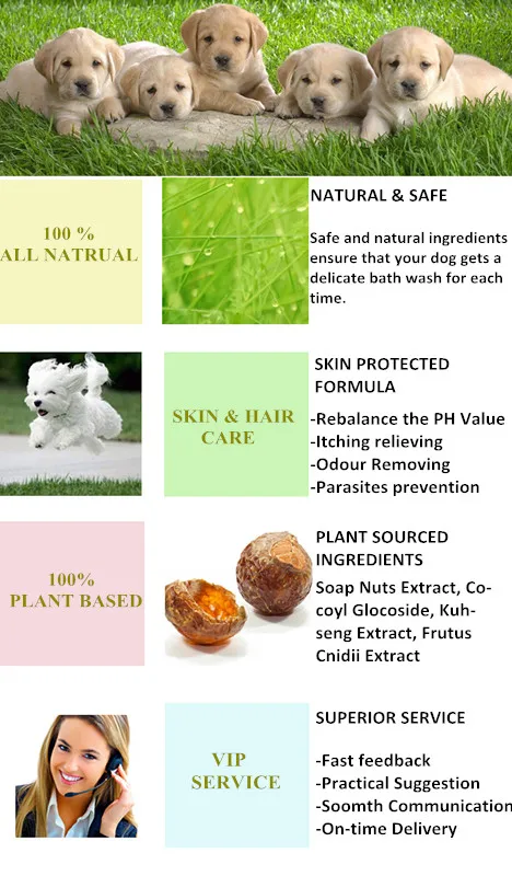
PH Balanced Natural Organic Dog Shampoo 