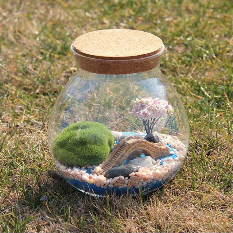 Round Glass Terrarium with Cork, Glass Terrarium Kit for Home Decoration