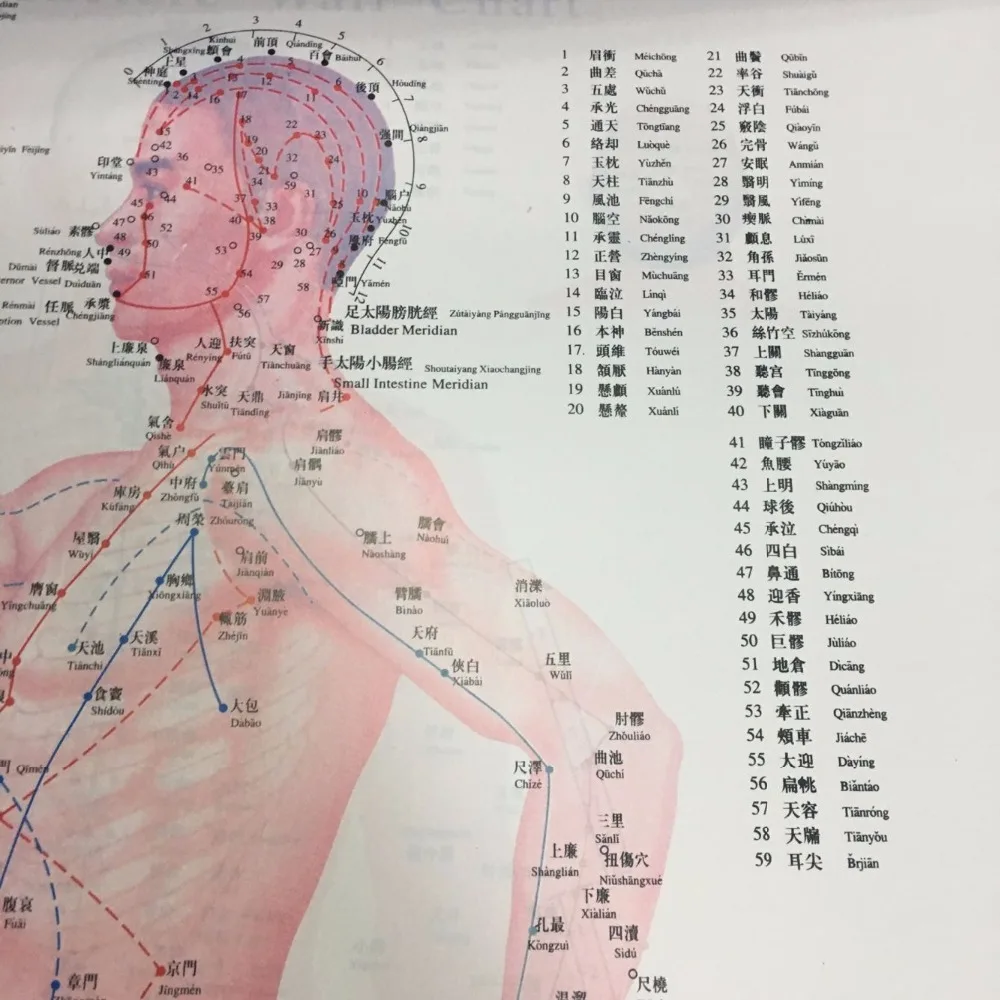 Chinese medical Acupuncture Charts points (Front, side, reverse side)