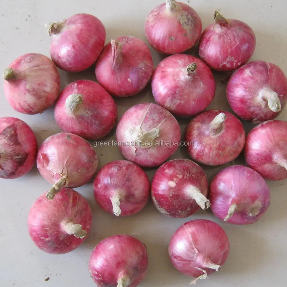 Large quantity of fresh red Onions for sale ,  seeking global onion buyers