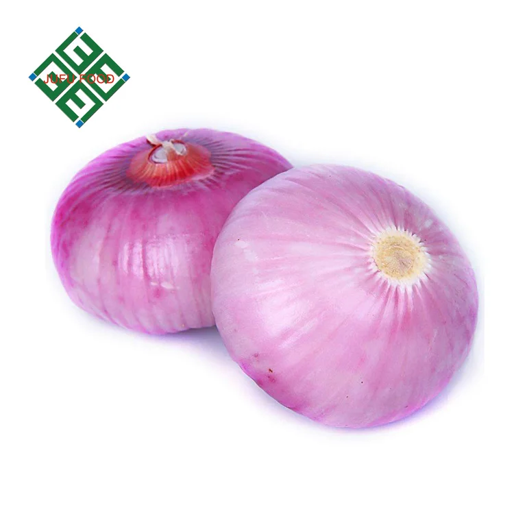 
export fresh small onion from China 