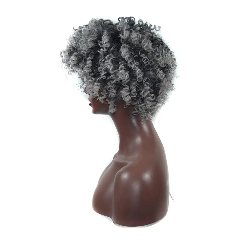 AliLeader Curly Grey Hair New Wigs Synthetic Hair Kinky Curly Wig For Black Women