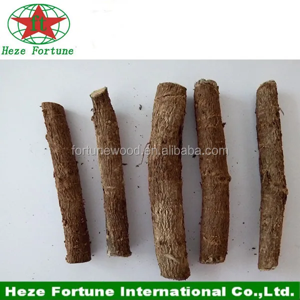 
Newest hybrid paulownia shan tong 4 root seeds for plantation 