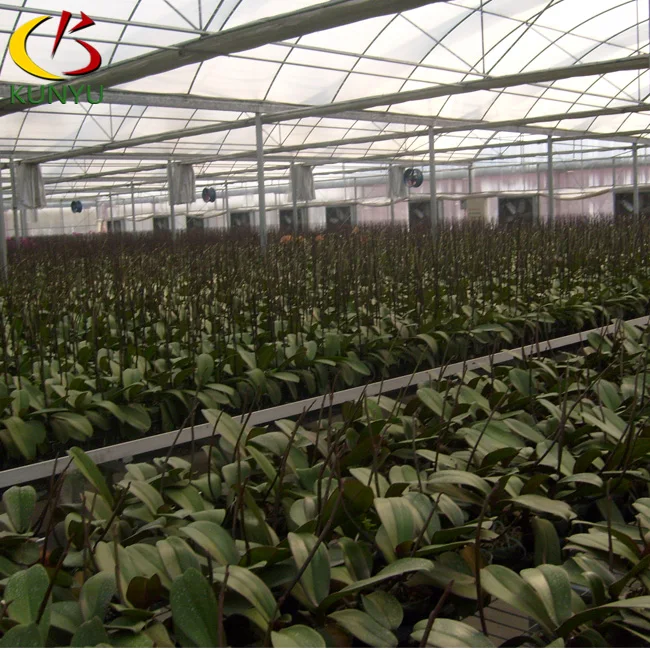 High-grade inflatable agricultural greenhouse for phalaenopsis orchid