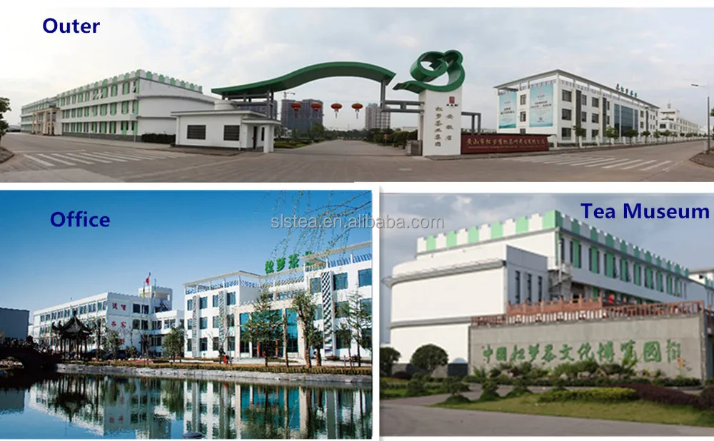 chunmee green tea 8147 with cheap price for wholesale