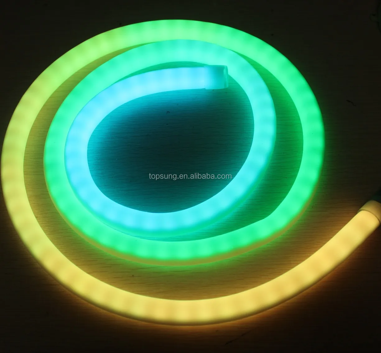 Dynamic Digital LED neo Neon flexible strip lights tube 360 degree 10 pixel per meter 24V RGB rope