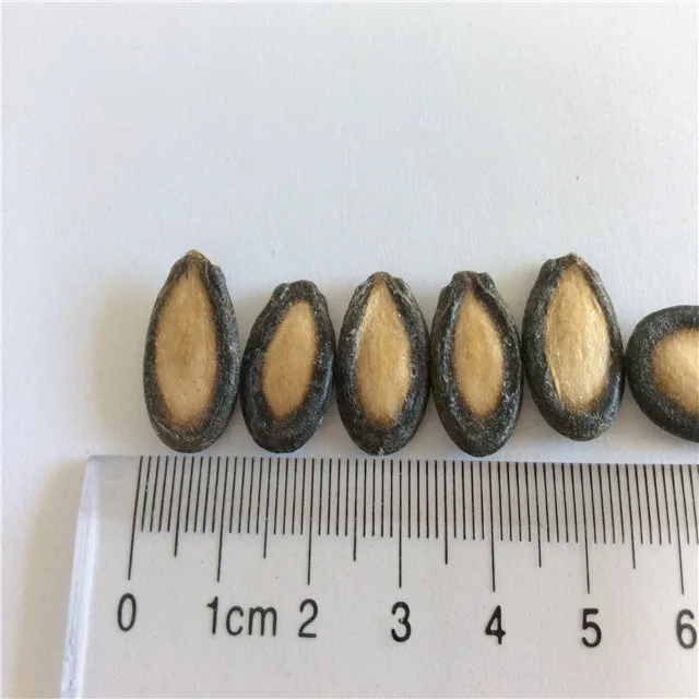  Семена китайского арбуза для человеческого потребления рыночная цена хорошего качества